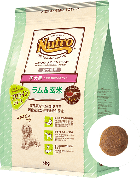 ナチュラル チョイス™ 全犬種用 [子犬用] ラム＆玄米 （3kg）